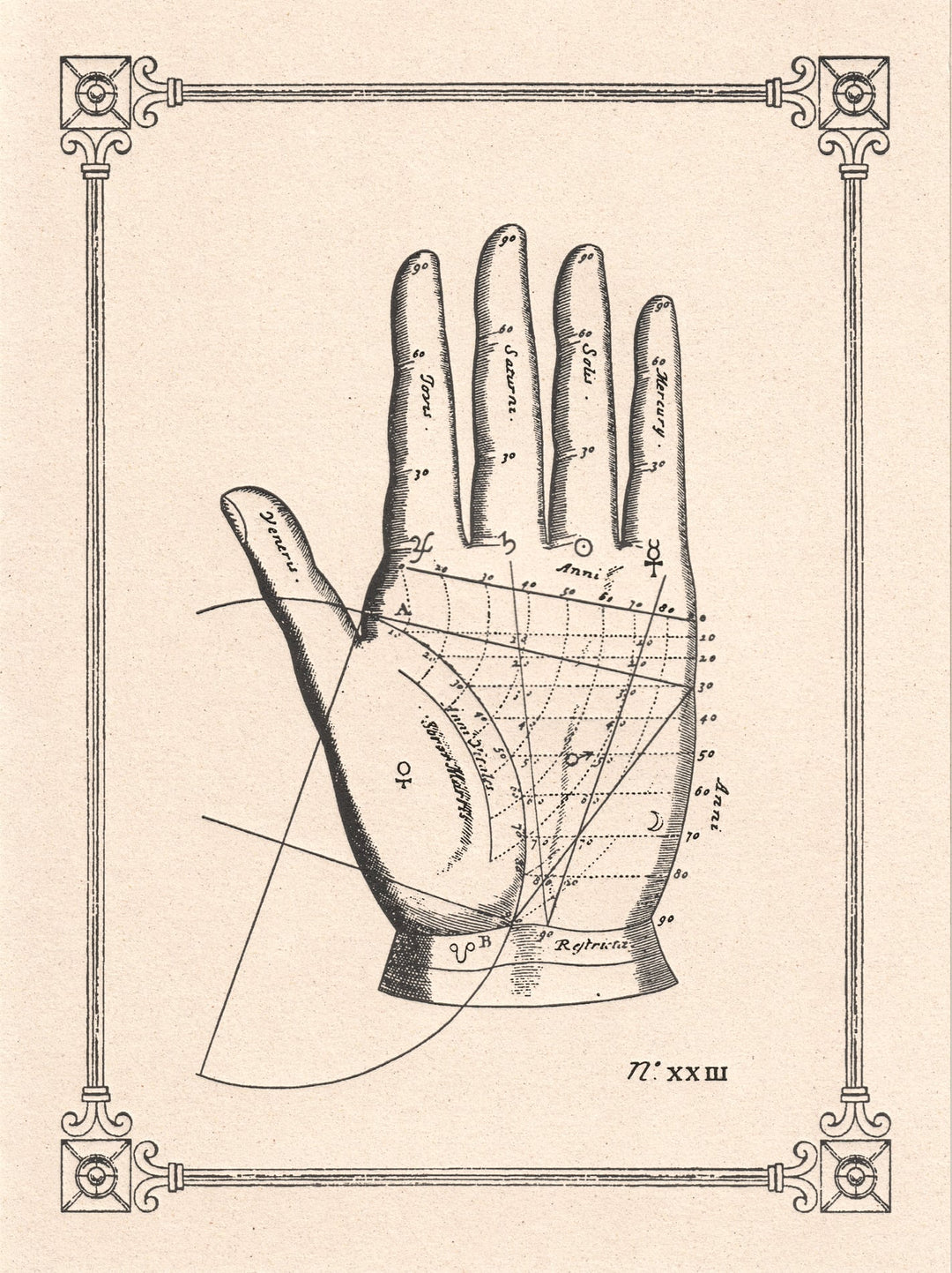 Palmistry Historical Illustrations Card