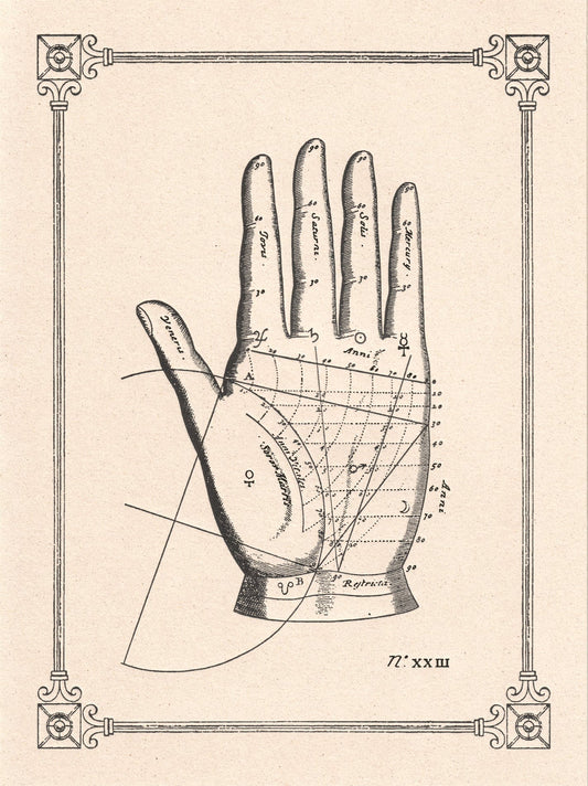 Palmistry Historical Illustrations Card
