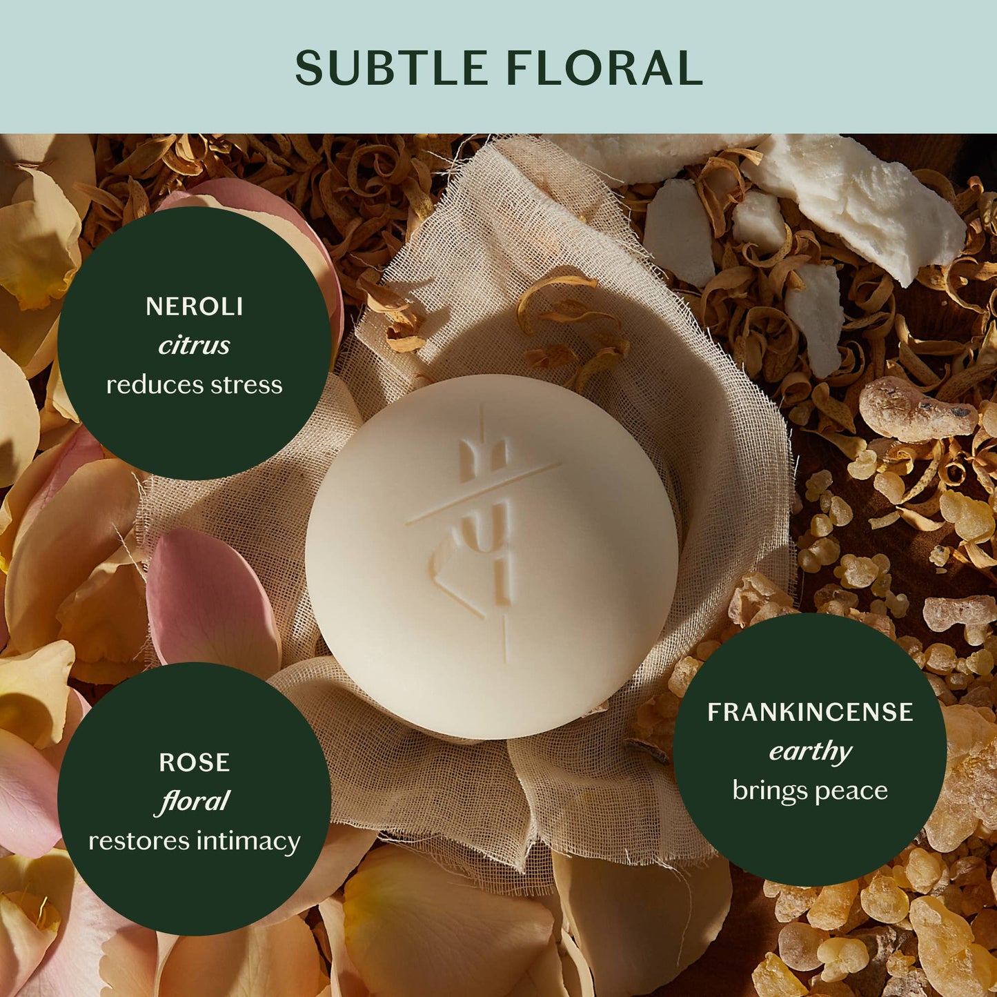 Mini Daily Stone | Deep Moisturizing Lotion Bar