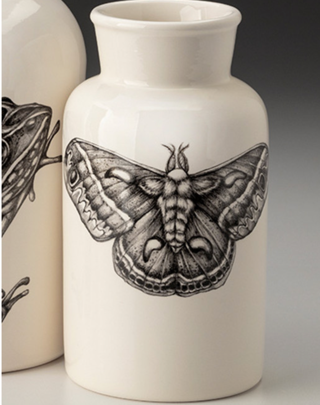Silk Moth Jar