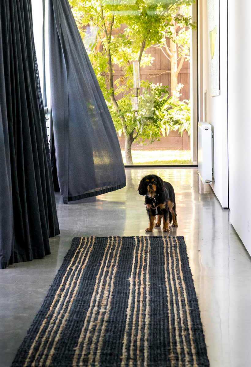 Jones Stripe Jute Rugs