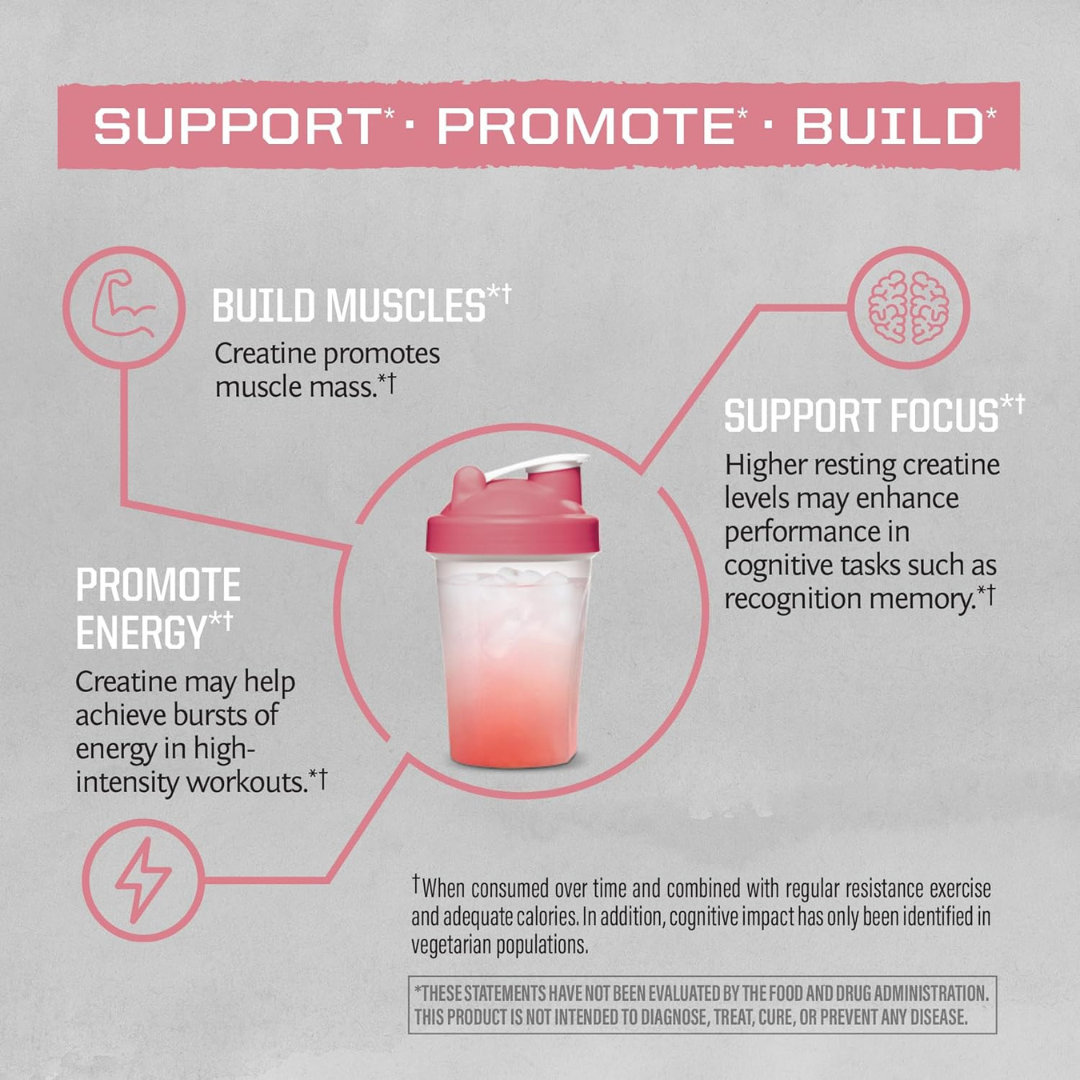 Raspberry Active Creatine Drink Powder- Vegan, Soy-Free