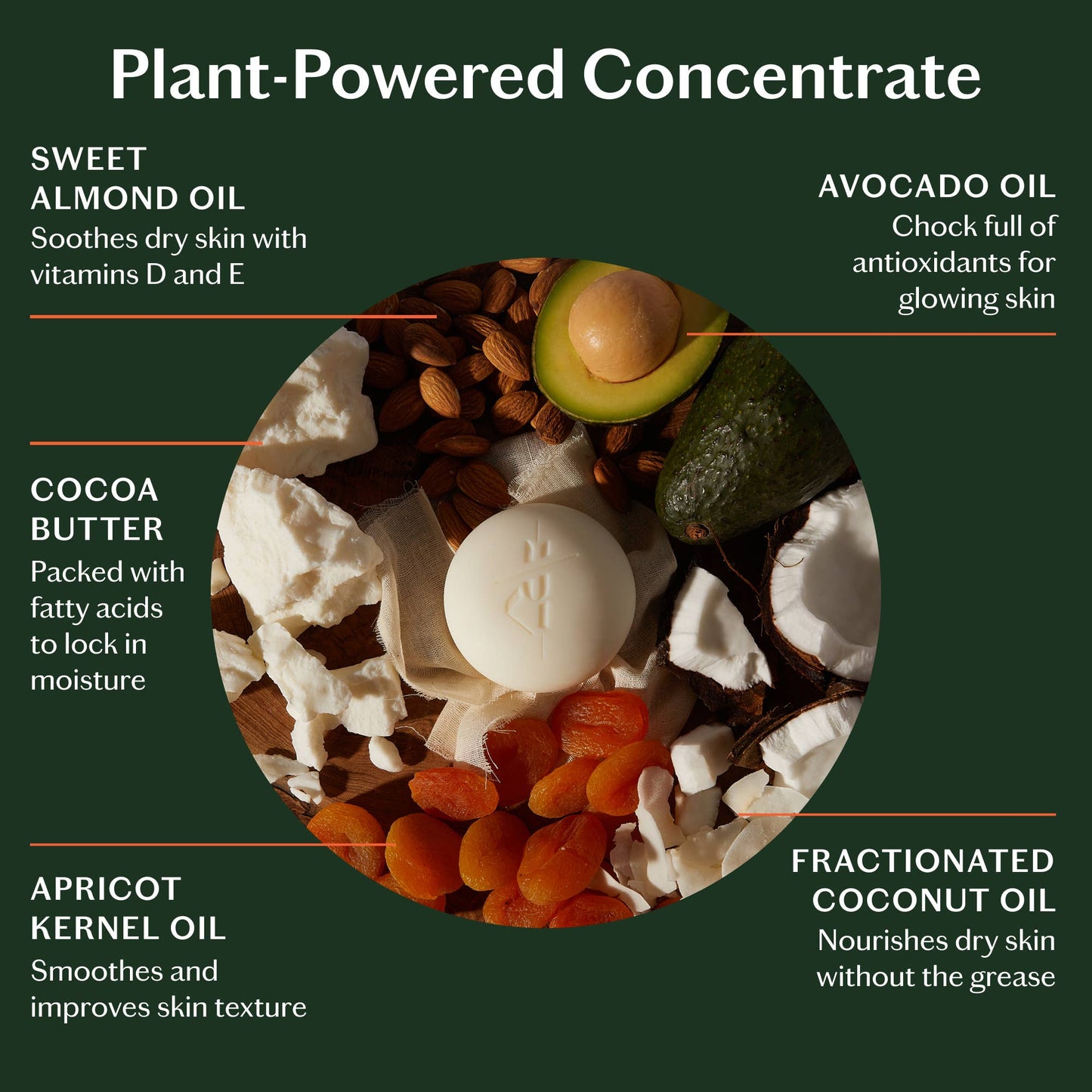 Mini Grounding Stone | Deep Moisturizing Lotion Bar