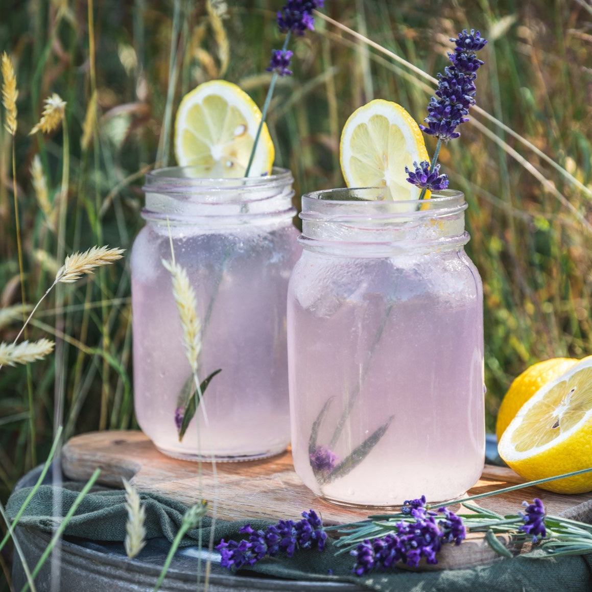 Lavender Lemonade - Noble Mick's