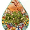 WOO Argan Oil – Hydrating, Anti-Aging, and Softening for Skin, Hair, and Nails