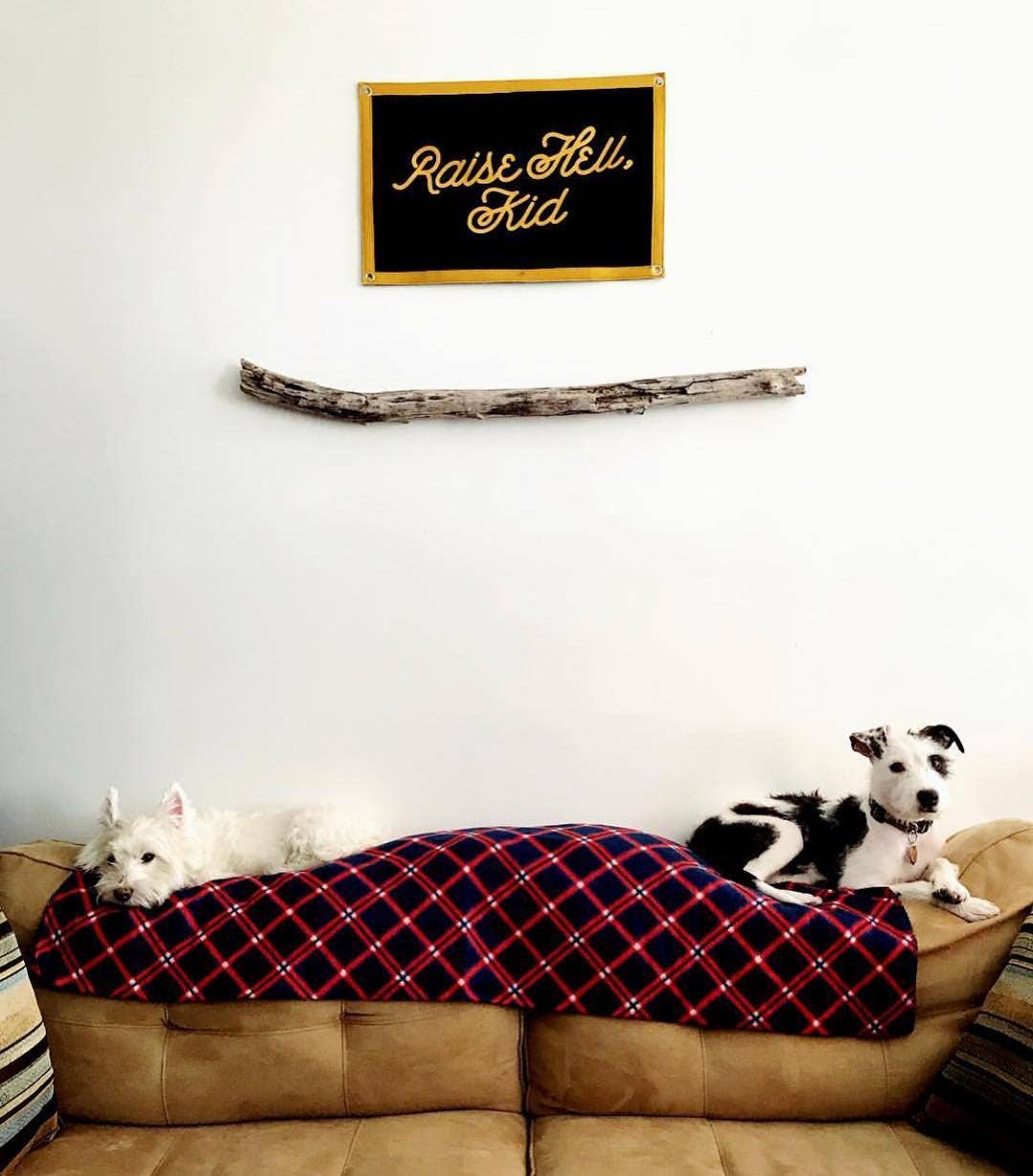 Raise Hell, Kid  Camp Flag