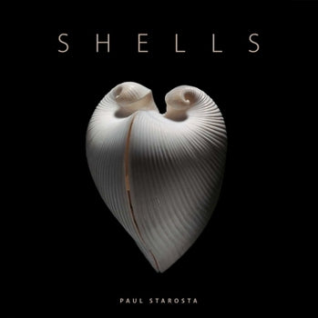SHELLS