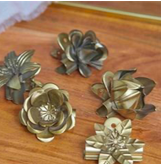 Botanical Clips - Set of 5