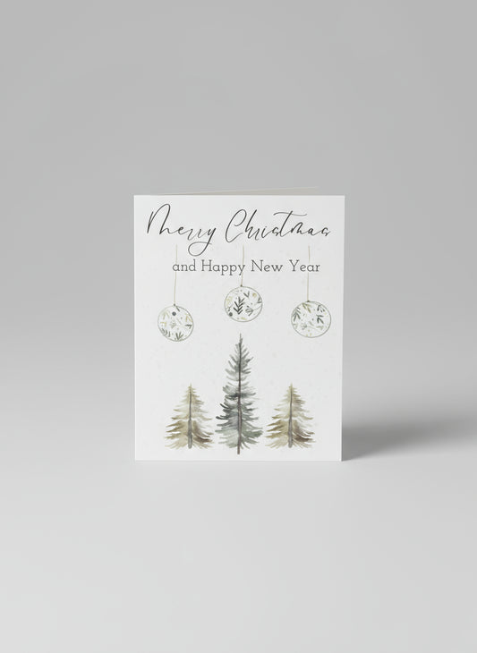 Merry Christmas and Happy New Year Holiday Card