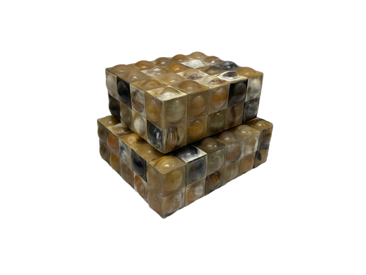 Buffalo Horn 3D Box (M)