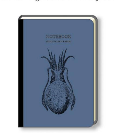 Cuttlefish Fine Italian Paper Notebook
