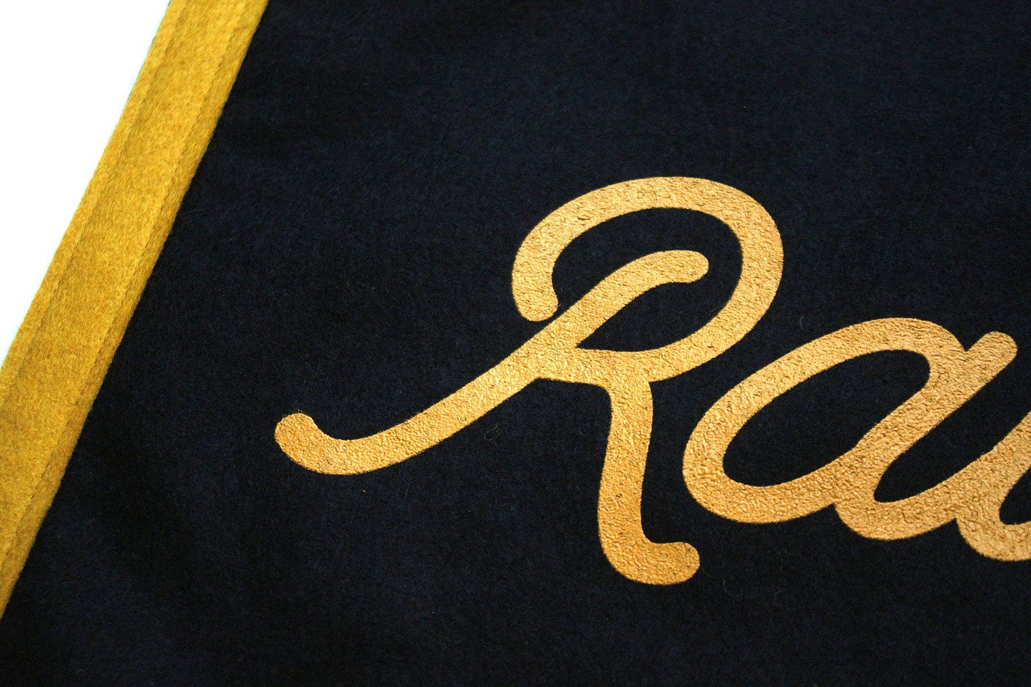 Raise Hell, Kid  Camp Flag