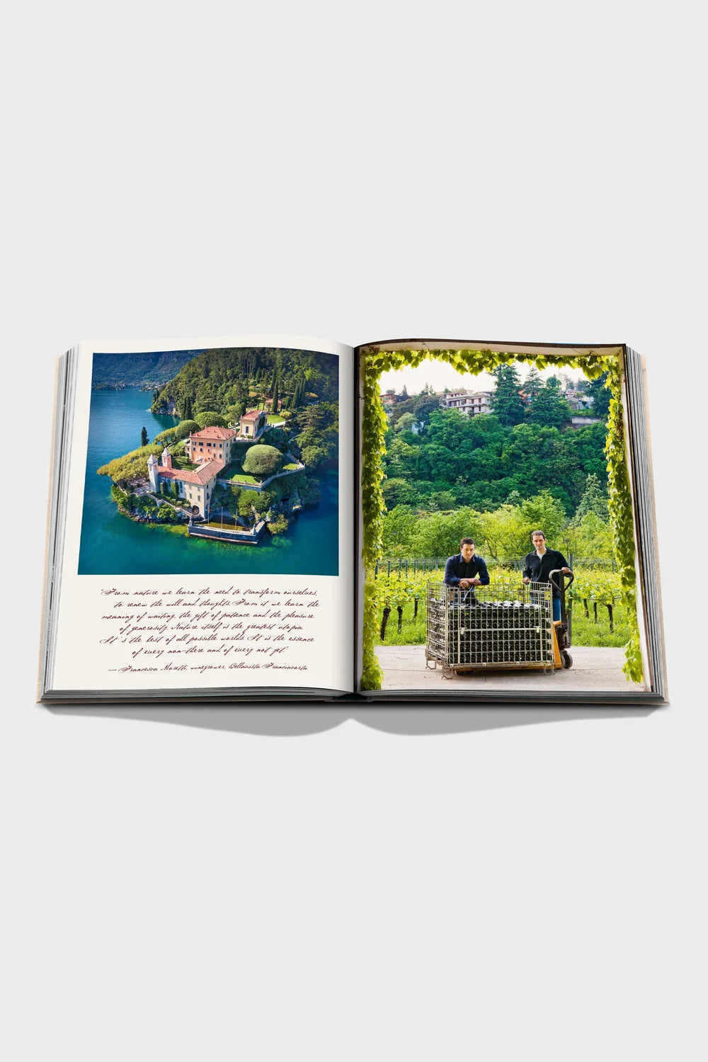 Wine & Travel Italy